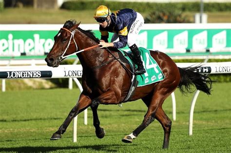 rosehill trials replays